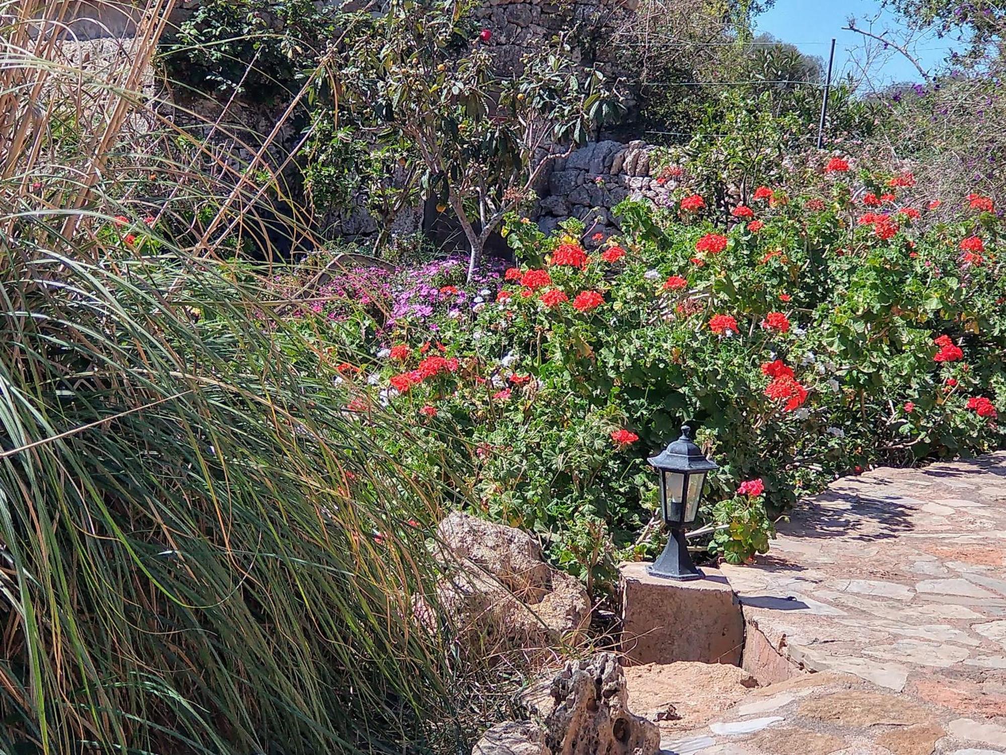 Finca Son Marimon (Adults Only) Santanyí Exterior foto